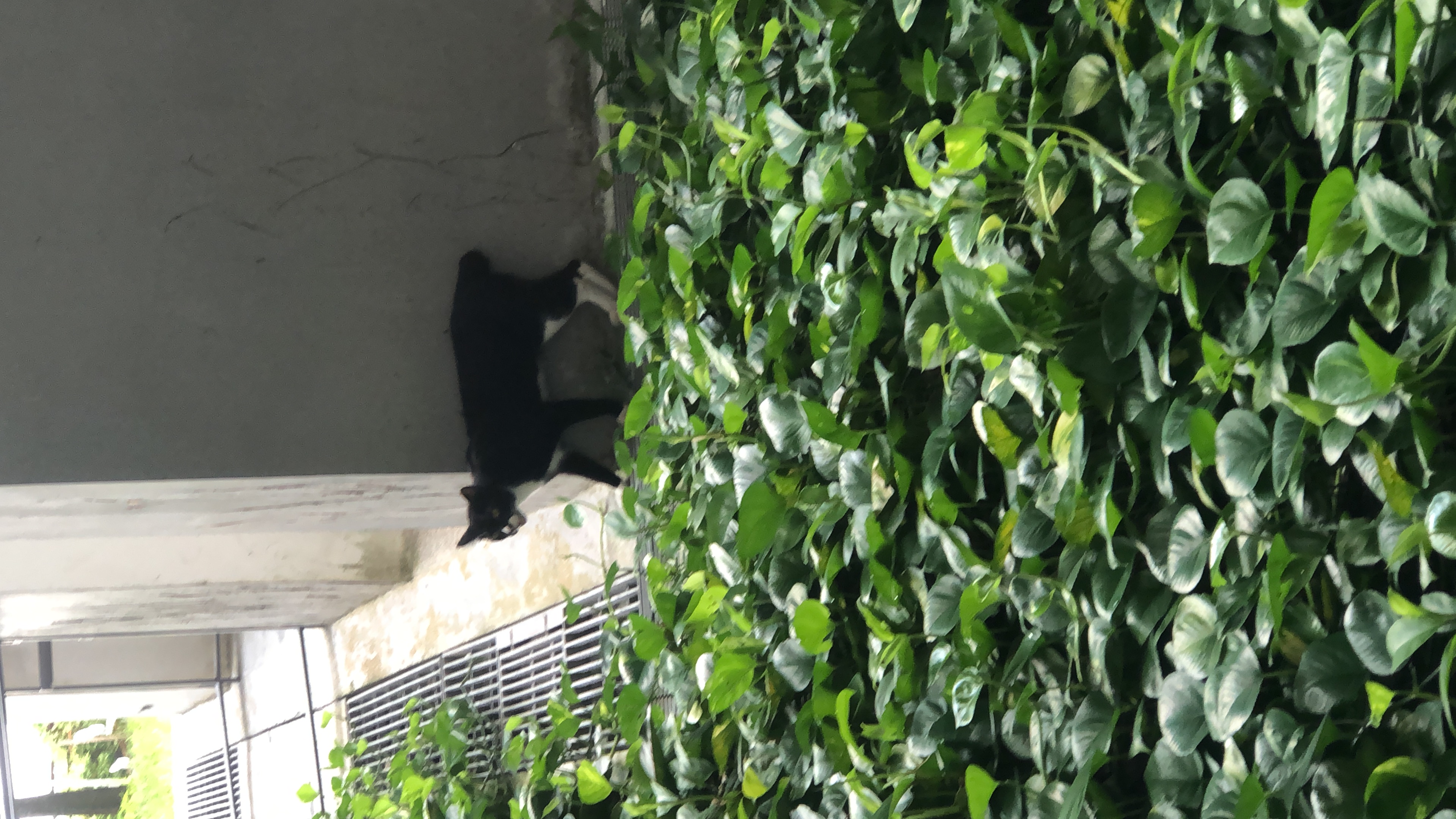 F133733F-5B60-4C77-A262-8F63E12C3DE4