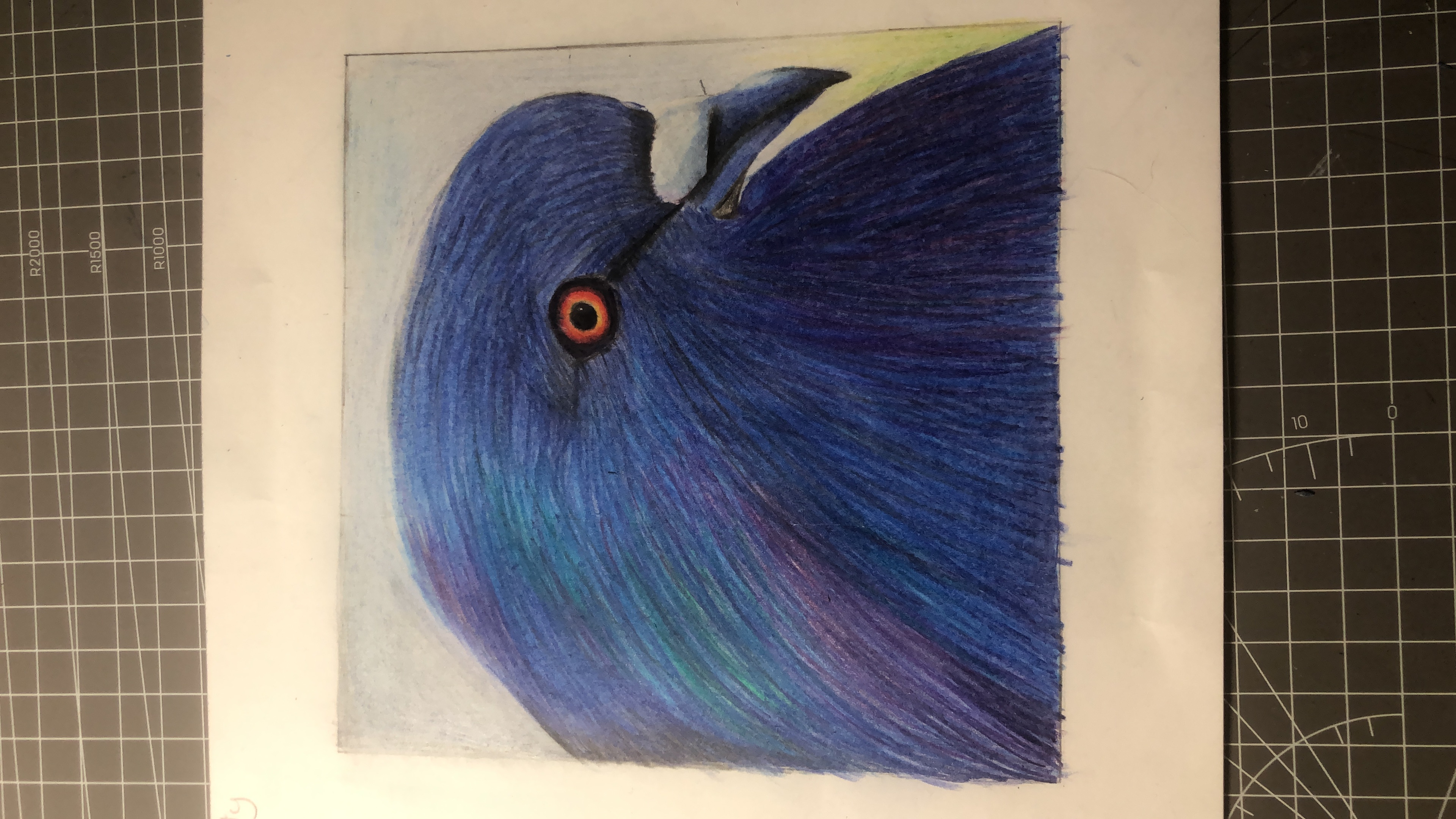 5F95F7ED-9F2B-406C-A097-28CF73E4053D