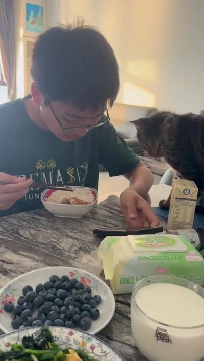 龙龙抢哥哥饭碗